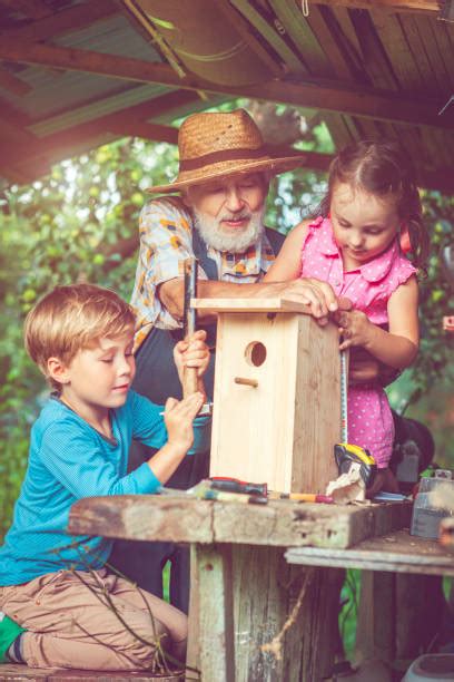 Child Building Birdhouse Stock Photos, Pictures & Royalty-Free Images ...