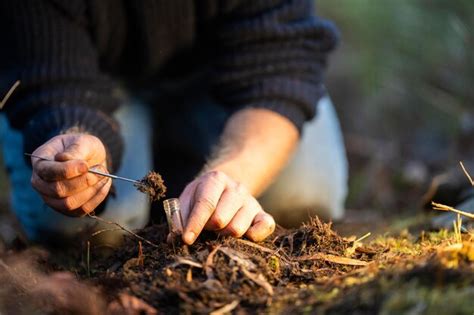 Premium Photo | Turning a compost pile in a community garden compost ...