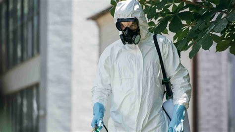 Diatomaceous Earth For Pest Control: All You Need To Know