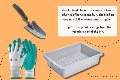 Here's how to harvest worm castings