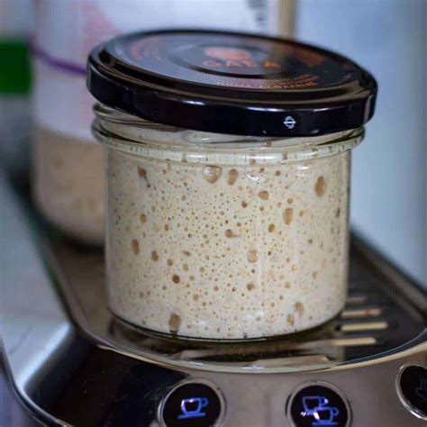 Why Are The Bubbles So Small In My Sourdough Starter? | Somebody Feed Seb