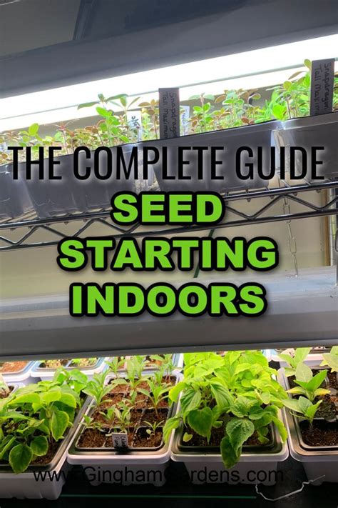 Seed Starting Indoors (The Complete Guide) - Gingham Gardens | Growing ...