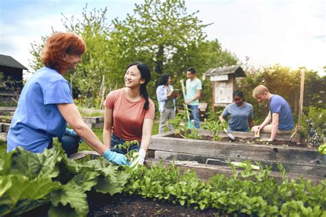 Community Vegetable Gardens