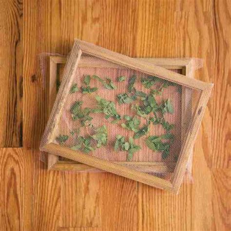 How to Dry Herbs – Mother Earth News