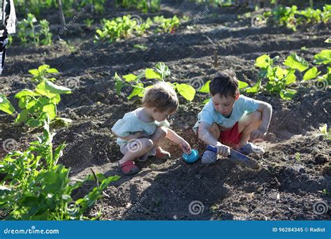 Children Planting Seeds stock image. Image of land, healthy - 96284345