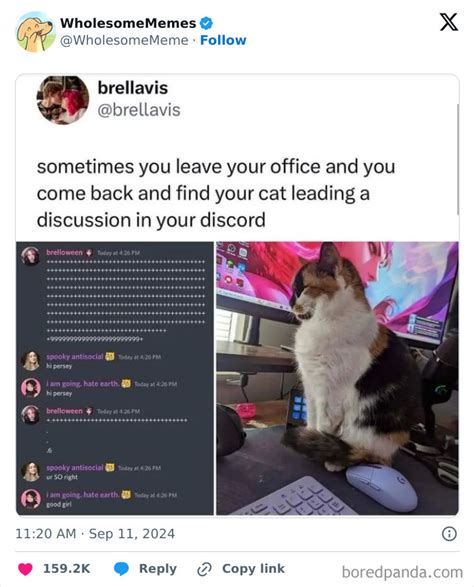 50 Wholesome Memes To Remind You That The World Isn’t All Bad (New Pics ...