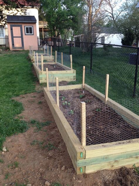 Raised garden beds planted : gardening