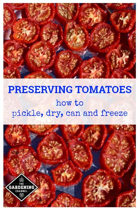 Best methods for preserving excess garden tomatoes without complex equipment?