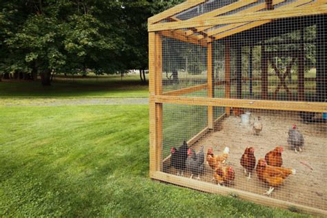 24 Features on a Predator-Proof Chicken Coop - Backyard Chicken Project