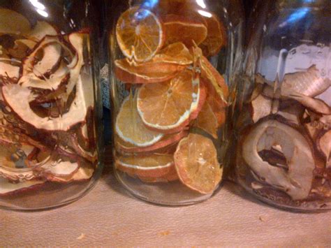 Silly Goose Farm: Dried Fruit Slices