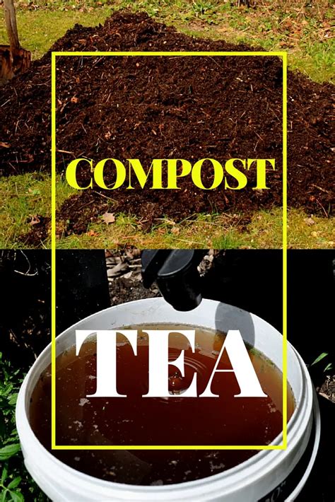 How To Make Compost Tea: Simple Compost Tea Recipe For Your Plants And ...