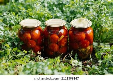 Canned Vegetables Cans Middle Garden Harvesting Stock Photo 2122798985 ...