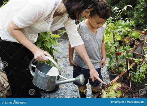 Child in the Garden Watering the Plants Stock Photo - Image of plants ...