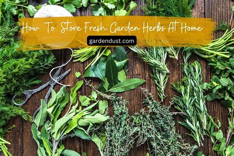How To Store Fresh Garden Herbs At Home - Garden Dust
