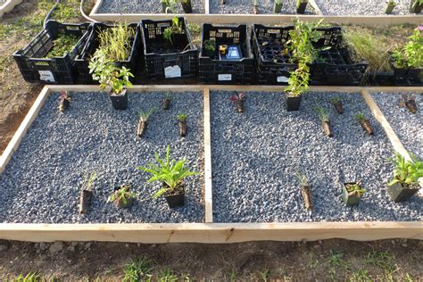 How do you share authentic garden grit or messy kitchen BTS effectively to inspire?