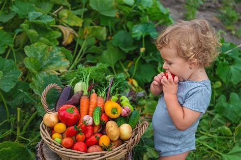 Premium Photo | A child with a harvest of vegetables in the garden ...
