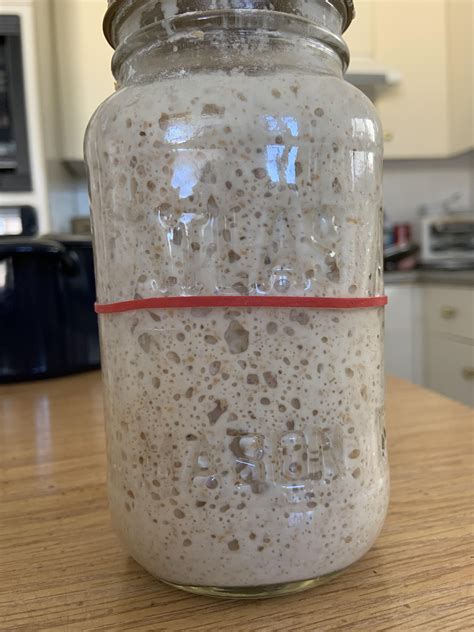 Bubbly starter : Sourdough