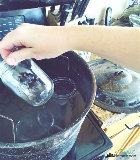 How to Prep Jars for Canning &amp; Preserving