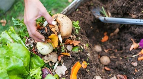 Quickest way to start a hot compost pile for vegetable scraps?