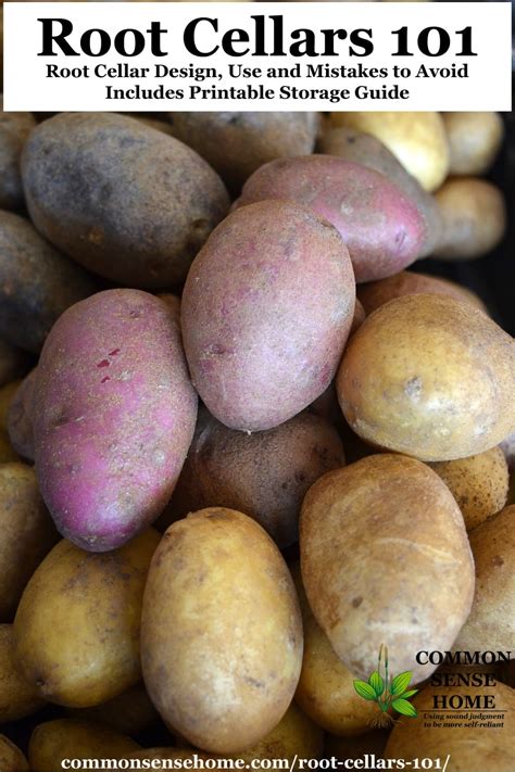 Root Cellars 101- Root Cellar Design, Use and Mistakes to Avoid ...