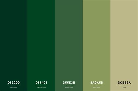 35+ Best Green Color Palettes with Names and Hex Codes – CreativeBooster