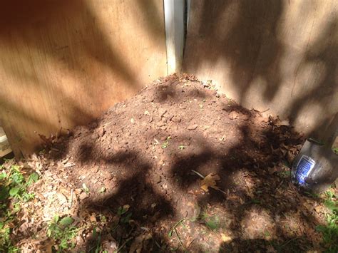 Starting a Compost Pile in Six Easy Steps | Veggie Garden Virgin