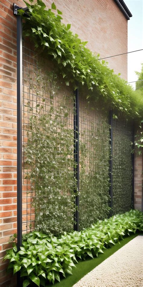 18 Garden Fence and Border Ideas to Elevate Your Backyard - Peak Patio Life