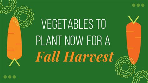 Plant These Vegetables Mid-Summer for a Fall Harvest | Garden Gate