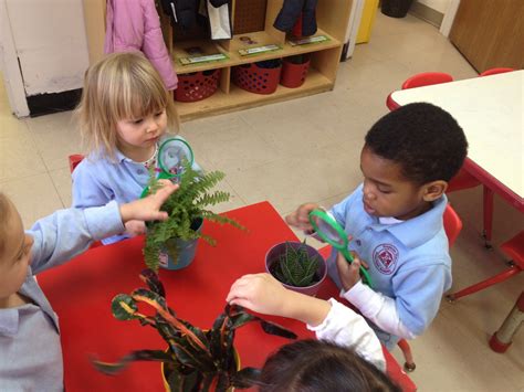 HH Preschool Class Reflections: Science: Exploring Plants