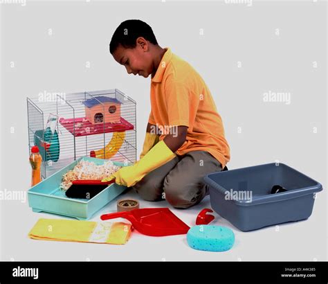 Boy cleaning animal cage hi-res stock photography and images - Alamy