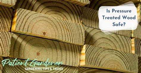 Is Pressure Treated Wood Safe For Vegetable Gardens? - Patient Gardener