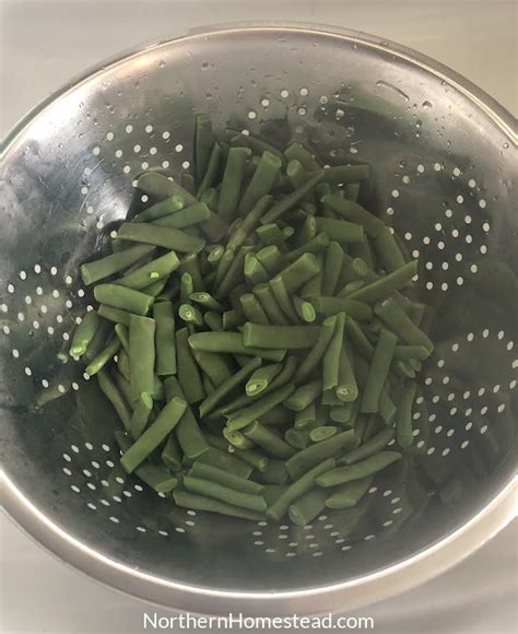 All About Freezing Vegetables - Northern Homestead