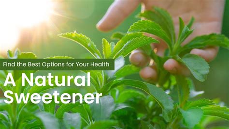 A Natural Sweetener: Find the Best Options for Your Health