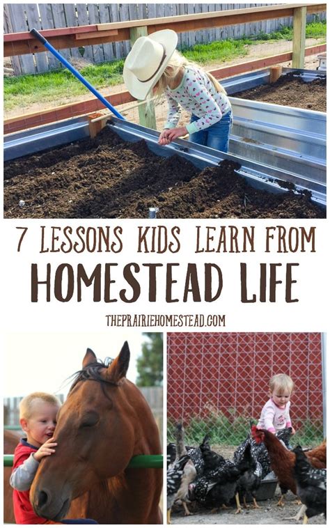 7 Lessons My Kids Have Learned from Homestead Life • The Prairie ...