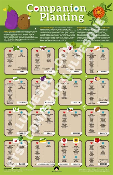 Vegetable Companion Planting Guide Printable