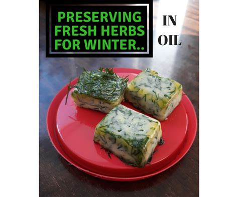 Fresh Herb Oil Cubes for Winter : 7 Steps (with Pictures) - Instructables