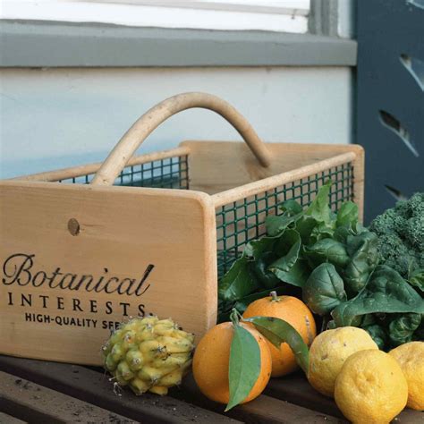 Harvest Basket – Epic Gardening