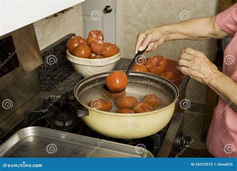 Preparing Tomatoes for Canning. Stock Image - Image of tomatoes, ripe ...