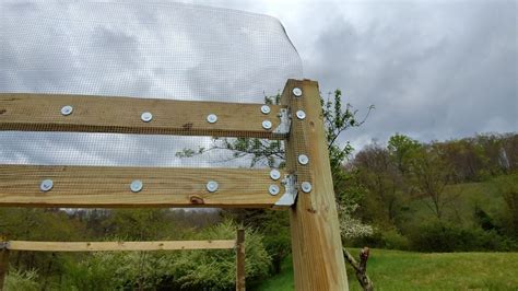 New Simple but Secure Chicken Coop | BackYard Chickens - Learn How to ...