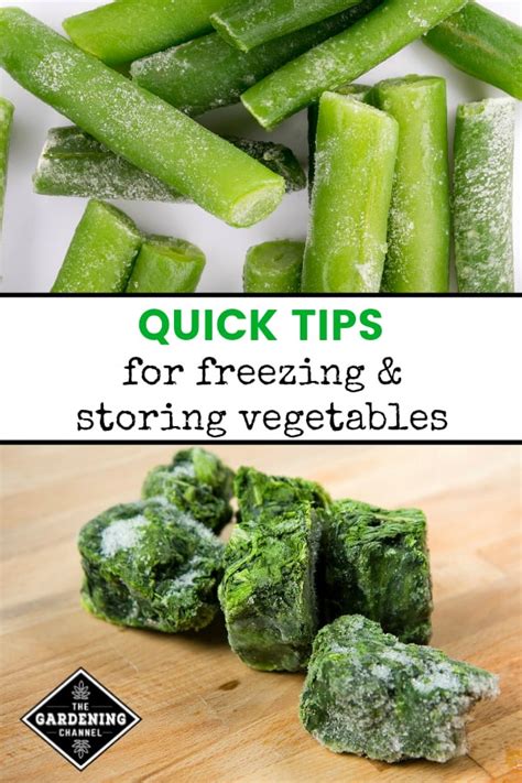 Quick Tips for Preserving the Garden Harvest - Gardening Channel