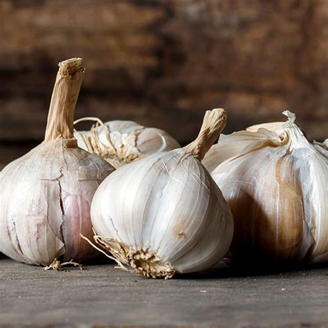 Garlic: Usefulness and Safety | NCCIH