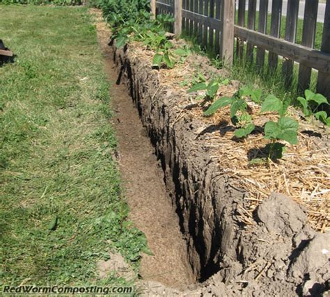 Trench Composting In A Raised Bed 7 Common Mistakes In Raised Bed
