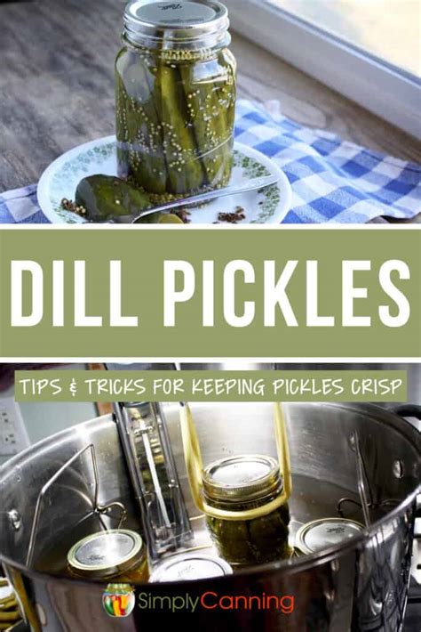 Preventing mushy pickles: Tips for crisp homemade dill pickles?