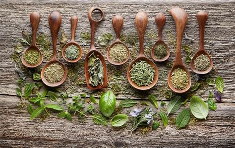Flavorful and Fresh: The Benefits of Dehydrated Herbs and Spices