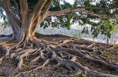 拒绝逗比 出国要慎用的8个英文单词(图)_手机新浪网