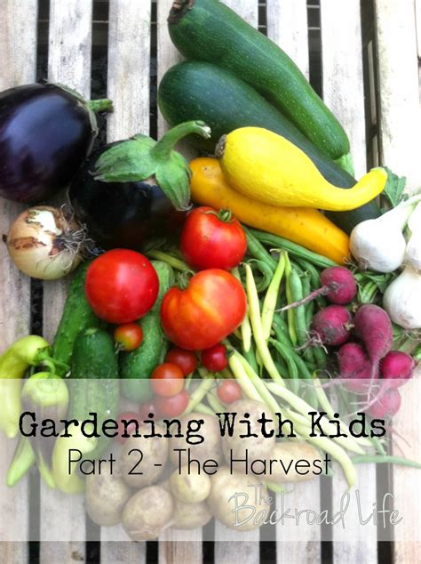 How to involve kids in garden chores & enjoy the harvest?