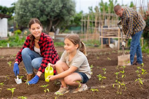 Friendly Family Working Together on Backyard Garden Stock Image - Image ...