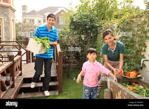 parents and son washing vegetables Stock Photo - Alamy