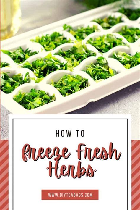 Tips and Suggestions for Freezing Herbs