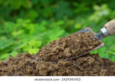 Image Manure Green Plants Background Stock Photo 2429341453 | Shutterstock